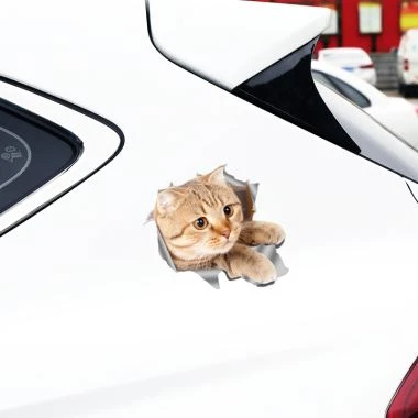 Car Door Decal