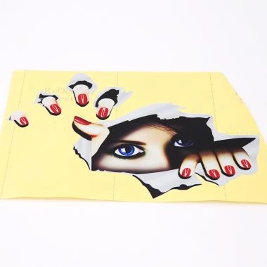 Exterior Vinyl Car Sticker