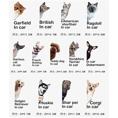 Cute Animal car Sticker