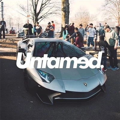 Untamed Car Front Rear Windows Stickers
